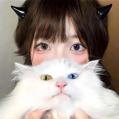 黑眉蚊